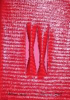 img/Respiri - 2/381 - Ritmo rosso 5.jpg